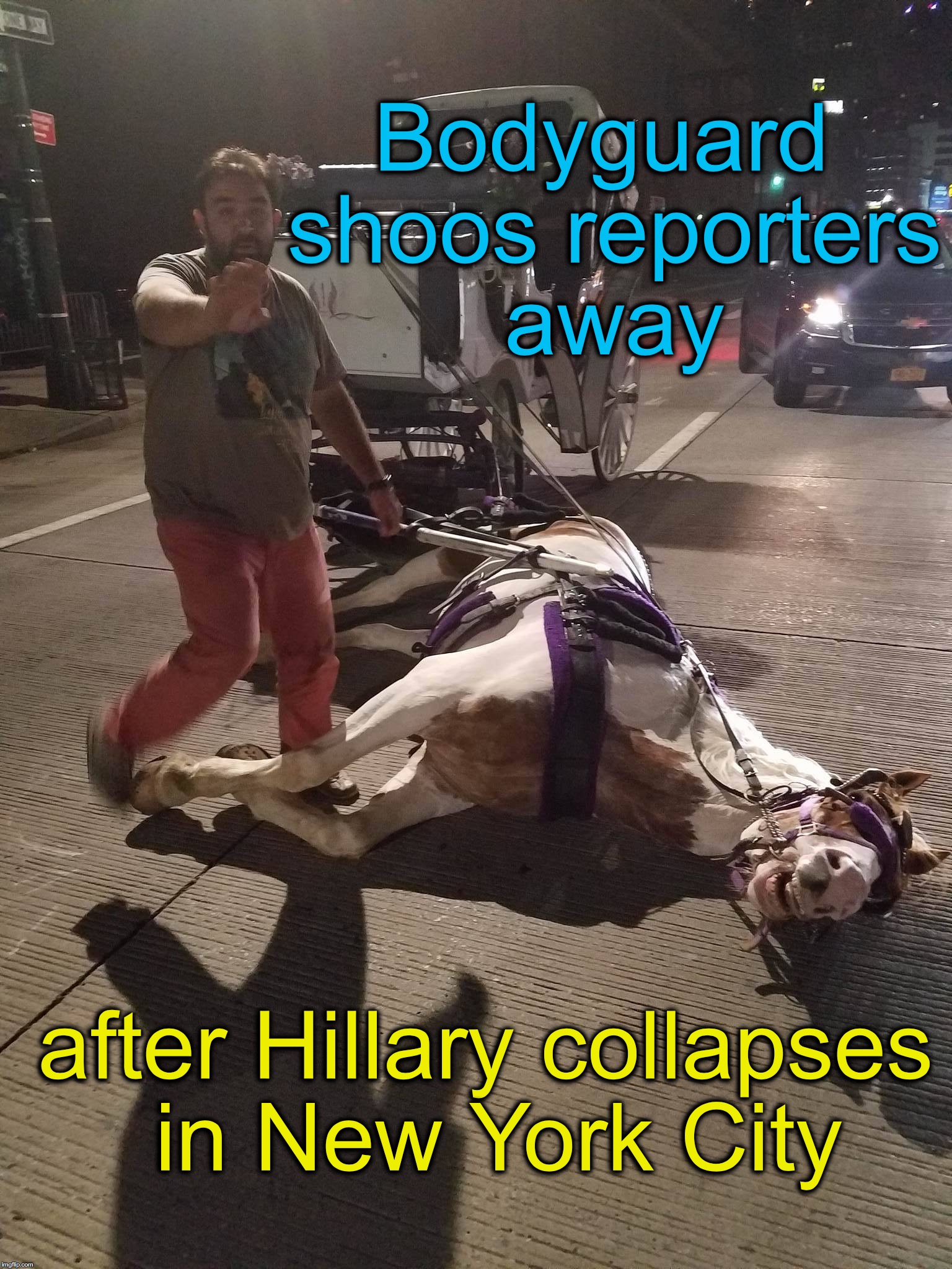 Bodyguard shoos reporters away; after Hillary collapses in New York City | image tagged in neverhillary,hillary clinton,health | made w/ Imgflip meme maker