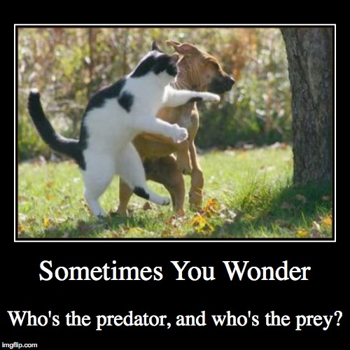 image tagged in funny,demotivationals | made w/ Imgflip demotivational maker