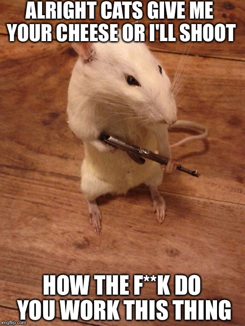 Rebellious Rat | ALRIGHT CATS GIVE ME YOUR CHEESE OR I'LL SHOOT; HOW THE F**K DO YOU WORK THIS THING | image tagged in rebellious rat | made w/ Imgflip meme maker