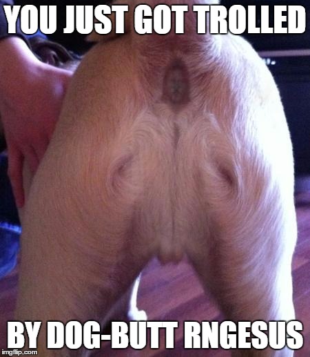 dog ass jesus | YOU JUST GOT TROLLED; BY DOG-BUTT RNGESUS | image tagged in dog ass jesus | made w/ Imgflip meme maker