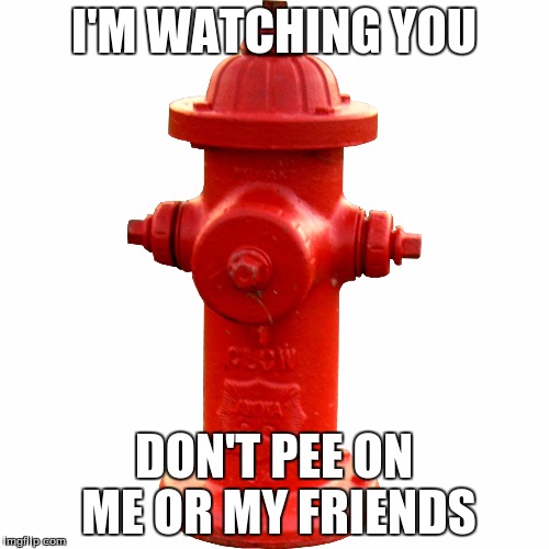 I'M WATCHING YOU DON'T PEE ON ME OR MY FRIENDS | made w/ Imgflip meme maker