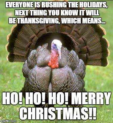 Turkey | EVERYONE IS RUSHING THE HOLIDAYS, NEXT THING YOU KNOW IT WILL BE THANKSGIVING, WHICH MEANS... HO! HO! HO! MERRY CHRISTMAS!! | image tagged in memes,turkey | made w/ Imgflip meme maker