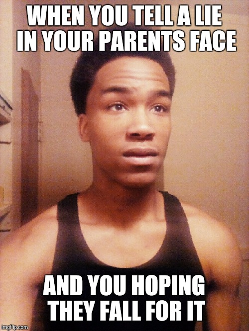 Meme 1 | WHEN YOU TELL A LIE IN YOUR PARENTS FACE; AND YOU HOPING THEY FALL FOR IT | image tagged in memes | made w/ Imgflip meme maker