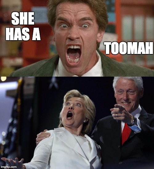 Explains a lot... | SHE HAS A; TOOMAH | image tagged in hillary clinton 2016,political humor,political meme,hillary sick | made w/ Imgflip meme maker