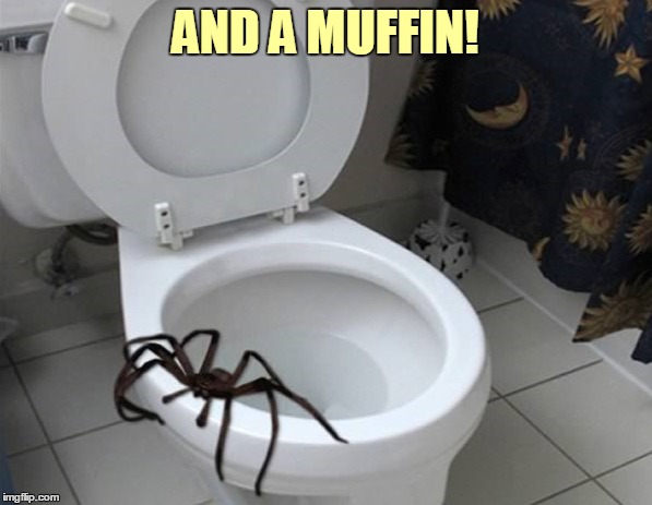 AND A MUFFIN! | made w/ Imgflip meme maker
