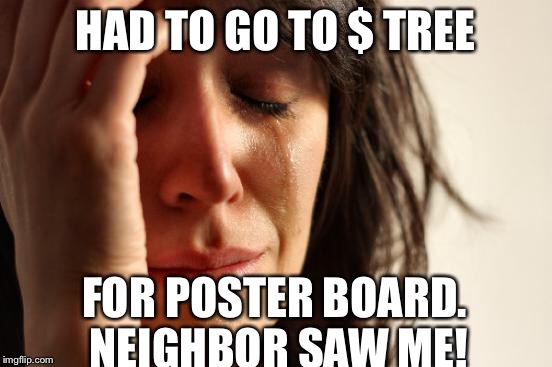 First World Problems Meme | HAD TO GO TO $ TREE FOR POSTER BOARD. NEIGHBOR SAW ME! | image tagged in memes,first world problems | made w/ Imgflip meme maker
