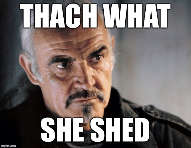 THACH WHAT SHE SHED | made w/ Imgflip meme maker