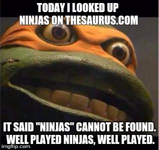 teen age mutant ninja turtle | TODAY I LOOKED UP NINJAS ON THESAURUS.COM; IT SAID "NINJAS" CANNOT BE FOUND. WELL PLAYED NINJAS, WELL PLAYED. | image tagged in teen age mutant ninja turtle | made w/ Imgflip meme maker