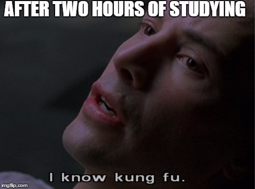 AFTER TWO HOURS OF STUDYING | image tagged in studying | made w/ Imgflip meme maker