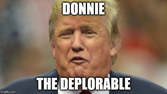 trump face 1 | DONNIE; THE DEPLORABLE | image tagged in trump face 1 | made w/ Imgflip meme maker