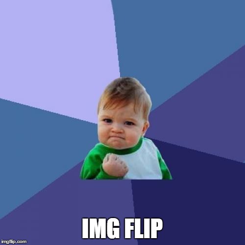 Success Kid | IMG FLIP | image tagged in memes,success kid | made w/ Imgflip meme maker