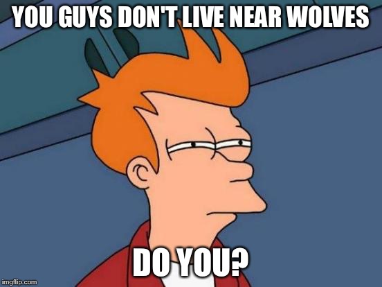 Futurama Fry Meme | YOU GUYS DON'T LIVE NEAR WOLVES DO YOU? | image tagged in memes,futurama fry | made w/ Imgflip meme maker