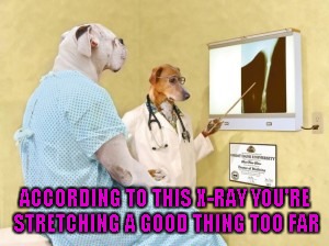 ACCORDING TO THIS X-RAY YOU'RE STRETCHING A GOOD THING TOO FAR | made w/ Imgflip meme maker