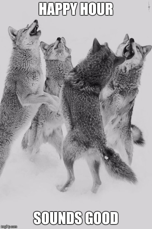 Wolf dance | HAPPY HOUR; SOUNDS GOOD | image tagged in wolf dance | made w/ Imgflip meme maker