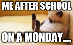Monday Meme | ME AFTER SCHOOL; ON A MONDAY.... | image tagged in monday meme | made w/ Imgflip meme maker