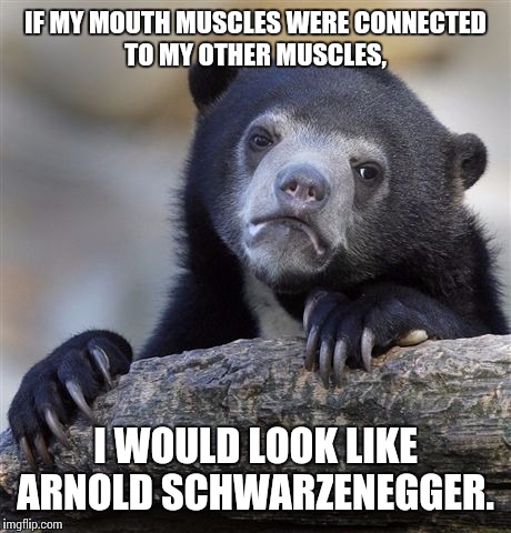 Confession Bear Meme | IF MY MOUTH MUSCLES WERE CONNECTED TO MY OTHER MUSCLES, I WOULD LOOK LIKE ARNOLD SCHWARZENEGGER. | image tagged in memes,confession bear | made w/ Imgflip meme maker