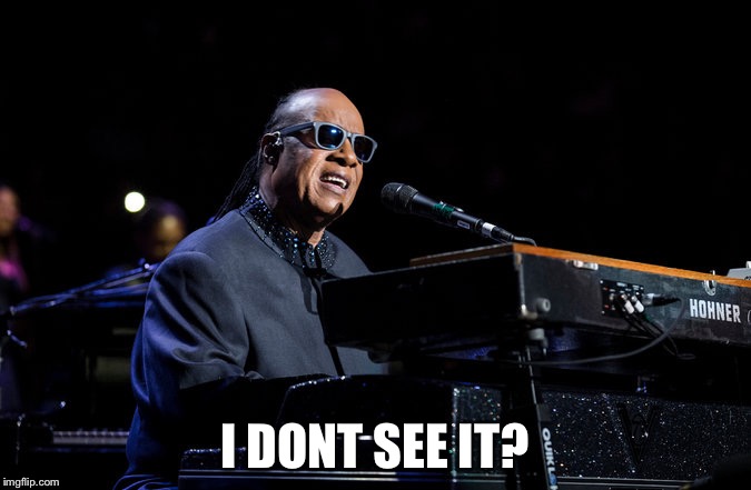 I DONT SEE IT? | image tagged in stevie wonder | made w/ Imgflip meme maker