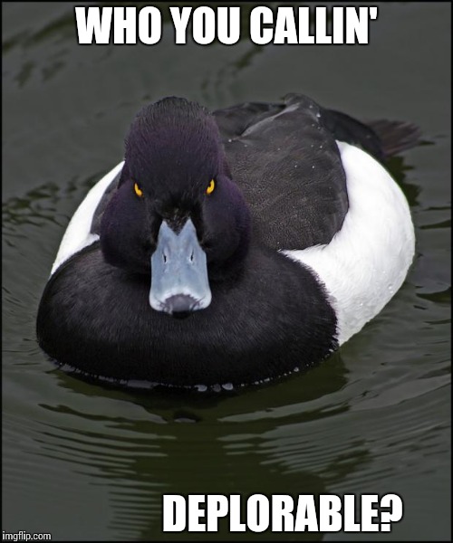 Angry duck | WHO YOU CALLIN'; DEPLORABLE? | image tagged in angry duck | made w/ Imgflip meme maker