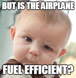 Skeptical Baby Meme | BUT IS THE AIRPLANE; FUEL EFFICIENT? | image tagged in memes,skeptical baby | made w/ Imgflip meme maker