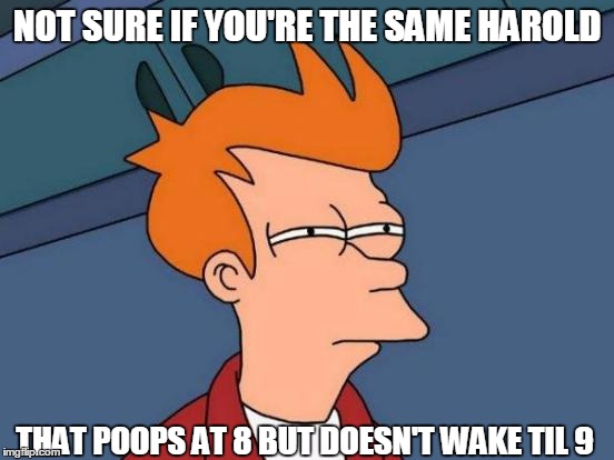 Futurama Fry Meme | NOT SURE IF YOU'RE THE SAME HAROLD THAT POOPS AT 8 BUT DOESN'T WAKE TIL 9 | image tagged in memes,futurama fry | made w/ Imgflip meme maker