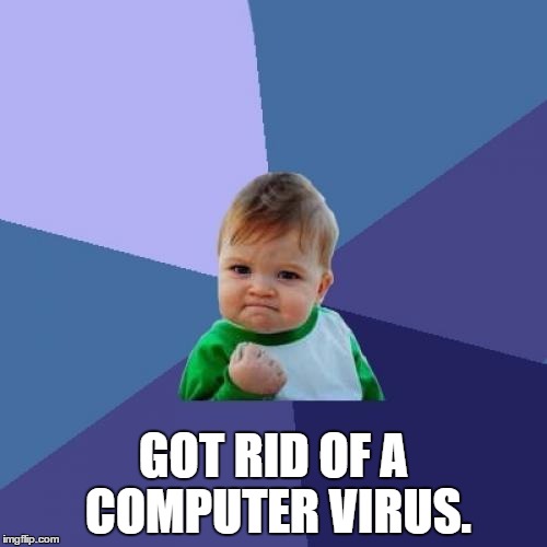 Success Kid | GOT RID OF A COMPUTER VIRUS. | image tagged in memes,success kid | made w/ Imgflip meme maker