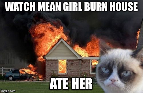Burn Kitty Meme | WATCH MEAN GIRL BURN HOUSE; ATE HER | image tagged in memes,burn kitty | made w/ Imgflip meme maker