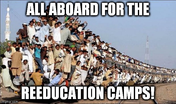 All of you deplorables! | ALL ABOARD FOR THE REEDUCATION CAMPS! | image tagged in hillary,holocaust | made w/ Imgflip meme maker