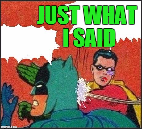 Robin slaps | JUST WHAT I SAID | image tagged in robin slaps | made w/ Imgflip meme maker