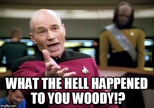 Picard Wtf Meme | WHAT THE HELL HAPPENED TO YOU WOODY!? | image tagged in memes,picard wtf | made w/ Imgflip meme maker