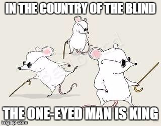 Blind mice | IN THE COUNTRY OF THE BLIND; THE ONE-EYED MAN IS KING | image tagged in blind mice | made w/ Imgflip meme maker