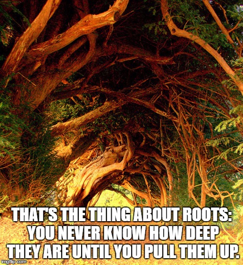 The roots of education are bitter, but the fruit is sweet.  | THAT'S THE THING ABOUT ROOTS: YOU NEVER KNOW HOW DEEP THEY ARE UNTIL YOU PULL THEM UP. | image tagged in the roots of education are bitter but the fruit is sweet.  | made w/ Imgflip meme maker