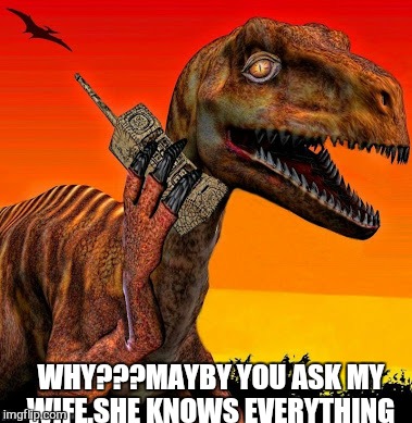 Extinct by choice... | WHY???MAYBY YOU ASK MY WIFE.SHE KNOWS EVERYTHING | image tagged in memes,one does not simply bill clinton,relationships | made w/ Imgflip meme maker