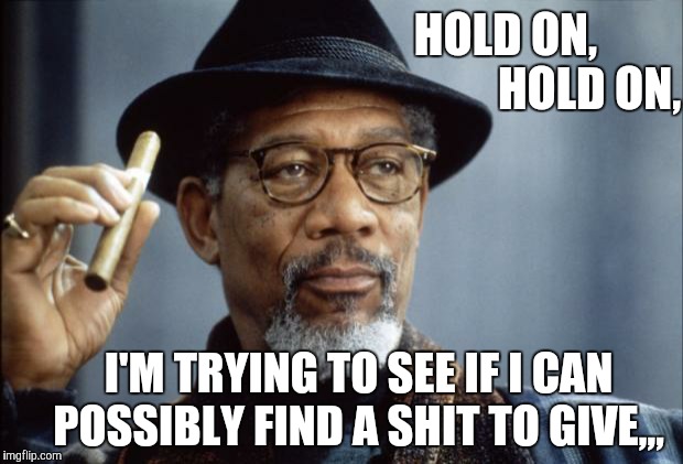Morgan Freeman Ganja | HOLD ON,                    HOLD ON, I'M TRYING TO SEE IF I CAN    POSSIBLY FIND A SHIT TO GIVE,,, | image tagged in morgan freeman ganja | made w/ Imgflip meme maker
