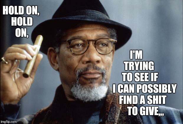 Morgan Freeman Ganja | HOLD ON, HOLD   ON, I'M        TRYING      TO SEE IF      I CAN POSSIBLY FIND A SHIT    TO GIVE,,, | image tagged in morgan freeman ganja | made w/ Imgflip meme maker