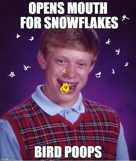 Bad Luck Brian | OPENS MOUTH FOR SNOWFLAKES; BIRD POOPS | image tagged in memes,bad luck brian,snowflake,birds,poop | made w/ Imgflip meme maker