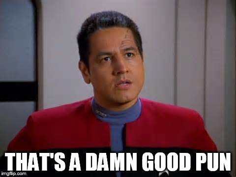 Chakotay Disagrees | THAT'S A DAMN GOOD PUN | image tagged in chakotay disagrees | made w/ Imgflip meme maker