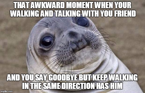 Awkward Moment Sealion | THAT AWKWARD MOMENT WHEN YOUR WALKING AND TALKING WITH YOU FRIEND; AND YOU SAY GOODBYE BUT KEEP WALKING IN THE SAME DIRECTION HAS HIM | image tagged in memes,awkward moment sealion | made w/ Imgflip meme maker