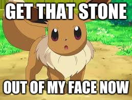Eevee | GET THAT STONE; OUT OF MY FACE NOW | image tagged in eevee | made w/ Imgflip meme maker