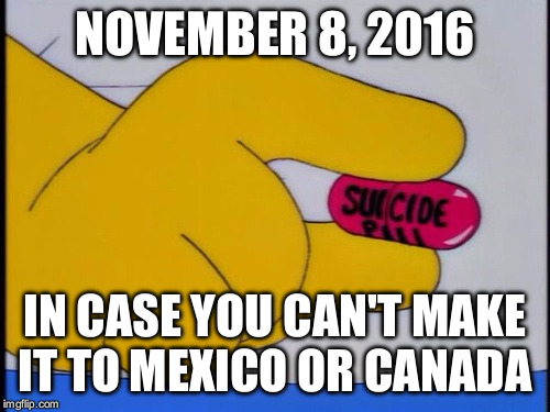 Suicide Pill | NOVEMBER 8, 2016; IN CASE YOU CAN'T MAKE IT TO MEXICO OR CANADA | image tagged in suicide pill | made w/ Imgflip meme maker