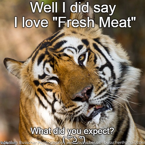 Pervy Tiger  | Well I did say I love "Fresh Meat"; What did you expect? ( ͡° ͜ʖ ͡°) | image tagged in pervy tiger | made w/ Imgflip meme maker