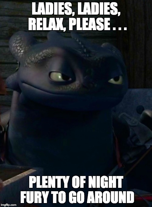 LADIES, LADIES, RELAX, PLEASE . . . PLENTY OF NIGHT FURY TO GO AROUND | image tagged in toothless,how to train your dragon | made w/ Imgflip meme maker