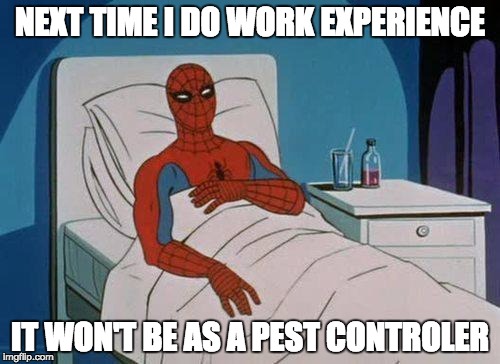 Work place fails | NEXT TIME I DO WORK EXPERIENCE; IT WON'T BE AS A PEST CONTROLER | image tagged in memes,spiderman hospital,spiderman | made w/ Imgflip meme maker