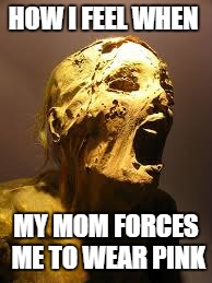 HOW I FEEL WHEN; MY MOM FORCES ME TO WEAR PINK | image tagged in scremaing mummies | made w/ Imgflip meme maker