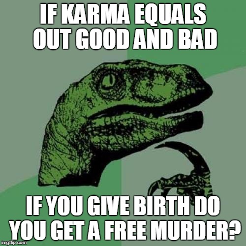 Philosoraptor | IF KARMA EQUALS OUT GOOD AND BAD; IF YOU GIVE BIRTH DO YOU GET A FREE MURDER? | image tagged in memes,philosoraptor | made w/ Imgflip meme maker