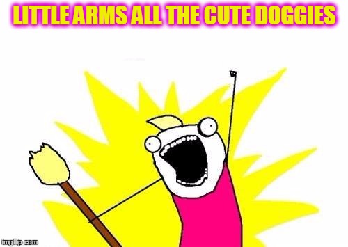 X All The Y Meme | LITTLE ARMS ALL THE CUTE DOGGIES | image tagged in memes,x all the y | made w/ Imgflip meme maker