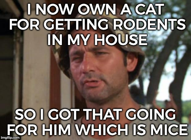 So I Got That Goin For Me Which Is Nice Meme | I NOW OWN A CAT FOR GETTING RODENTS IN MY HOUSE; SO I GOT THAT GOING FOR HIM WHICH IS MICE | image tagged in memes,so i got that goin for me which is nice | made w/ Imgflip meme maker