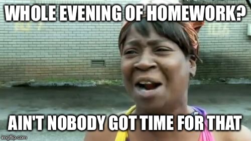 Ain't Nobody Got Time For That | WHOLE EVENING OF HOMEWORK? AIN'T NOBODY GOT TIME FOR THAT | image tagged in memes,aint nobody got time for that | made w/ Imgflip meme maker