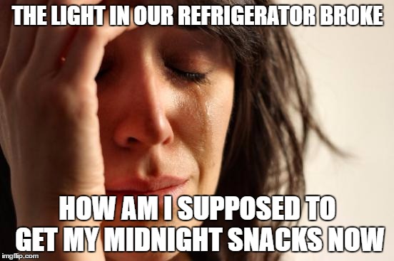 First World Problems Meme | THE LIGHT IN OUR REFRIGERATOR BROKE; HOW AM I SUPPOSED TO GET MY MIDNIGHT SNACKS NOW | image tagged in memes,first world problems | made w/ Imgflip meme maker