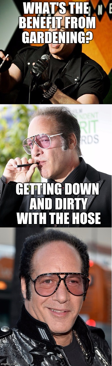 Dirty Joke | WHAT'S THE BENEFIT FROM GARDENING? GETTING DOWN AND DIRTY WITH THE HOSE | image tagged in dirty joke dice | made w/ Imgflip meme maker