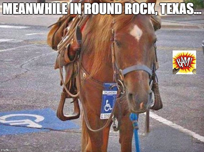 MEANWHILE IN ROUND ROCK, TEXAS... | image tagged in horse | made w/ Imgflip meme maker